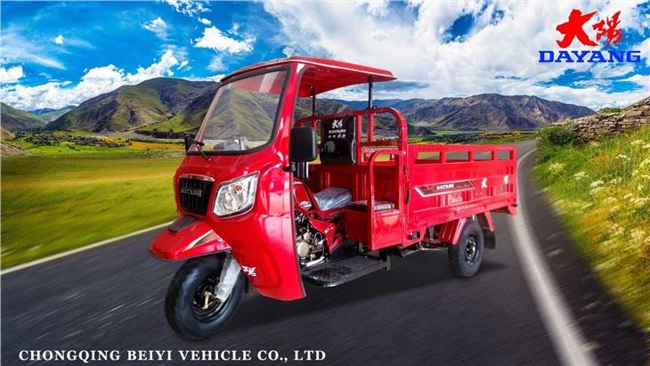 Powerful Cargo Motorcycle 2000Kg Head Load 