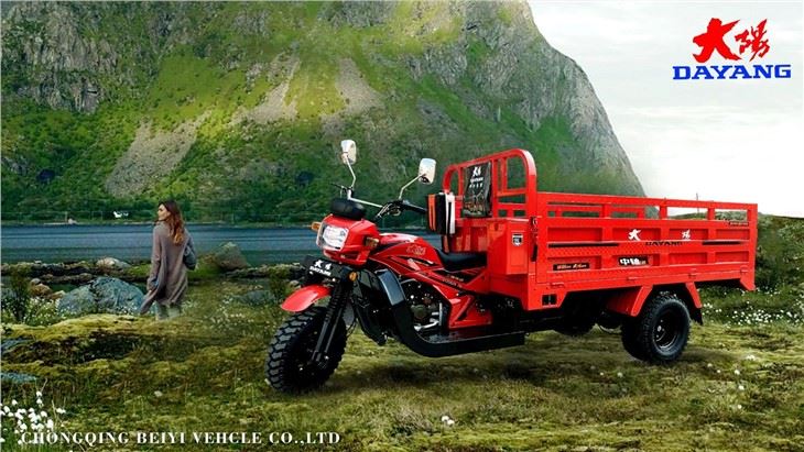 double frame heavy load cargo tricycles