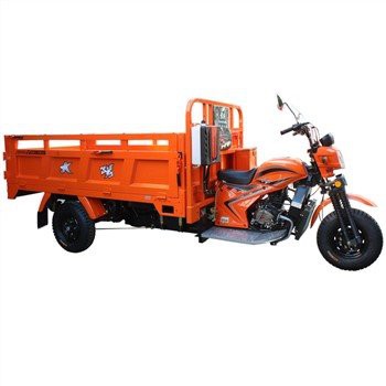 Cylchdir Cargo 300cc