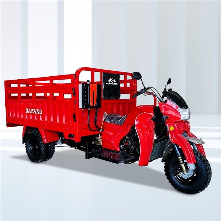 Tricycle Cargo Truck 3 Wheel Motorcycle custom