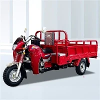 175cc 3 Olwyn Cargo Dump