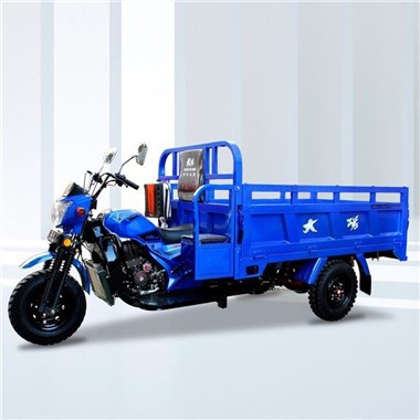Moto Cargo Tair Olwyn 300cc