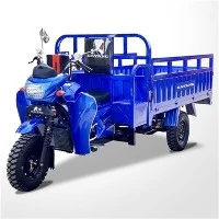 250cc Carguero Chargement Triciclo