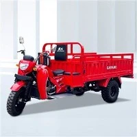 Trike Cargo Modur
