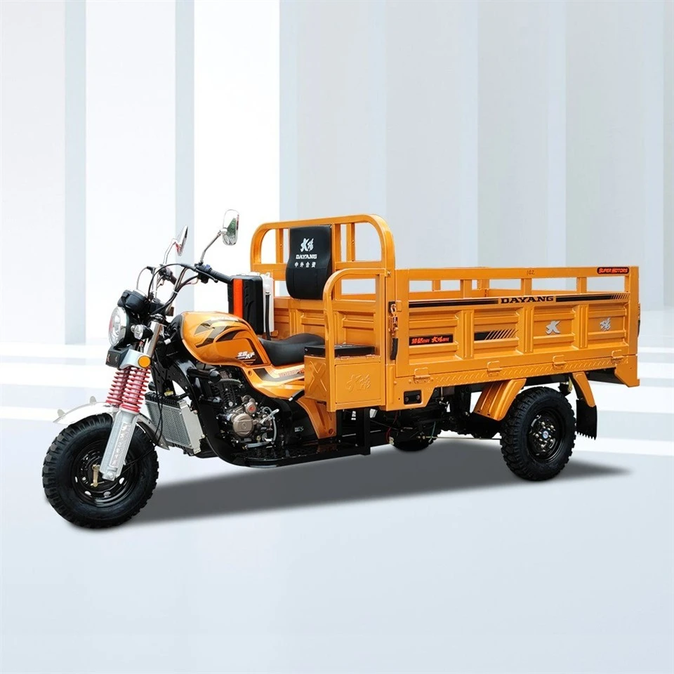 China Tricycle 250cc Petrol Cargo 3 Wheel Gasoline