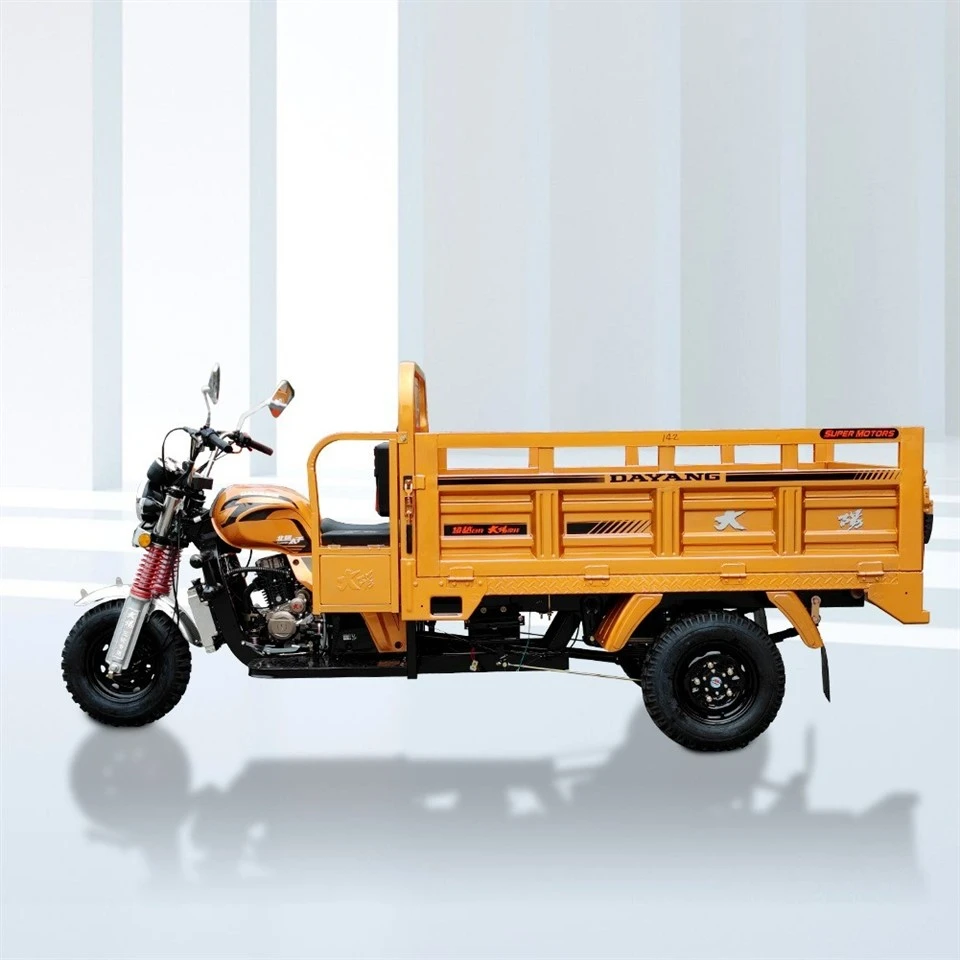 China Tricycle 250cc Petrol Cargo 3 Wheel Gasoline