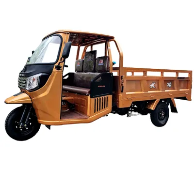 Ffatri DAYANG Cyflenwad Uniongyrchol 200cc Injan wedi'i Oeri gan Ddŵr sy'n Llwytho Beic tair olwyn